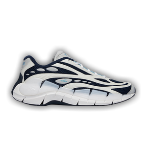 Reebok Zig Kinetica 2.5 'Pure Grey Sheer Blue'