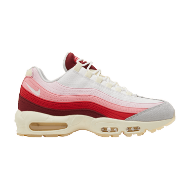 Nike Air Max 95 'Anatomy Of Air'
