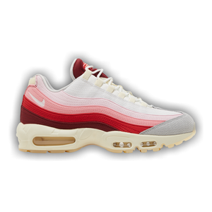 Nike Air Max 95 'Anatomy Of Air'