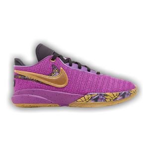 Nike LeBron 20 GS 'Young Heirs'