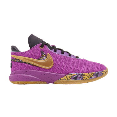 Nike LeBron 20 GS 'Young Heirs'