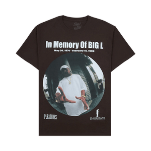 Pleasures In Memorty T-Shirt 'Brown'