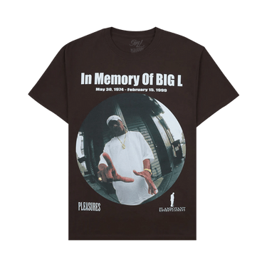 Pleasures In Memorty T-Shirt 'Brown'