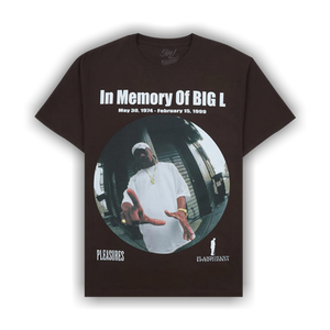 Pleasures In Memorty T-Shirt 'Brown'