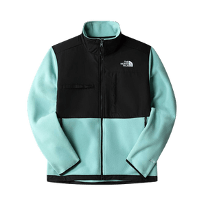The North Face Denali Jacket 'Wasabi'
