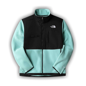 The North Face Denali Jacket 'Wasabi'