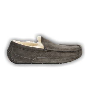 UGG Ascot Slipper 'Charcoal'