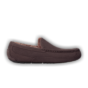 UGG Ascot Slipper 'Dusted Cocoa'