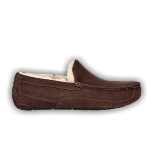 UGG Ascot Slipper 'Espresso'