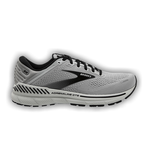 Brooks Adrenaline GTS 22 'Alloy'