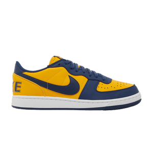 Nike Terminator Low 'Michigan'