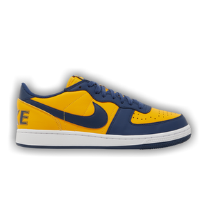Nike Terminator Low 'Michigan'