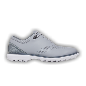 Air Jordan ADG 4 'Wolf Grey'