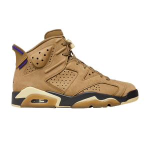Wmns Air Jordan 6 Retro GORE-TEX 'Brown Kelp'
