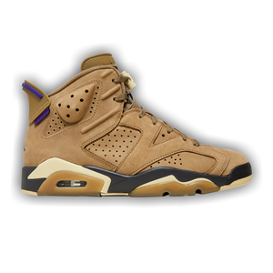 Wmns Air Jordan 6 Retro GORE-TEX 'Brown Kelp'