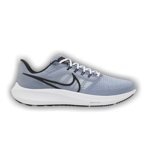 Nike Air Zoom Pegasus 39 'Ashen Slate'