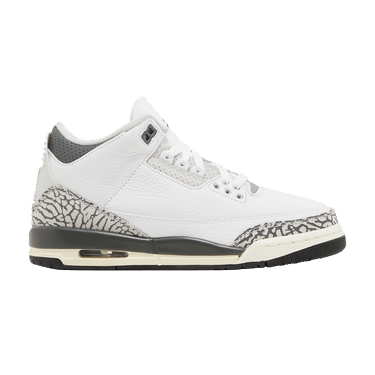 Air Jordan 3 Retro GS 'Hide N' Sneak'