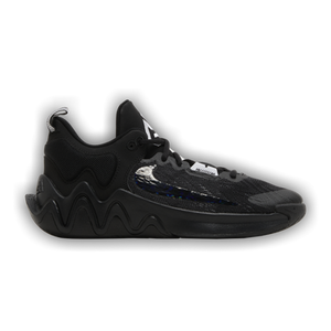 Nike Giannis Immortality 2 GS 'Black Wolf Grey'