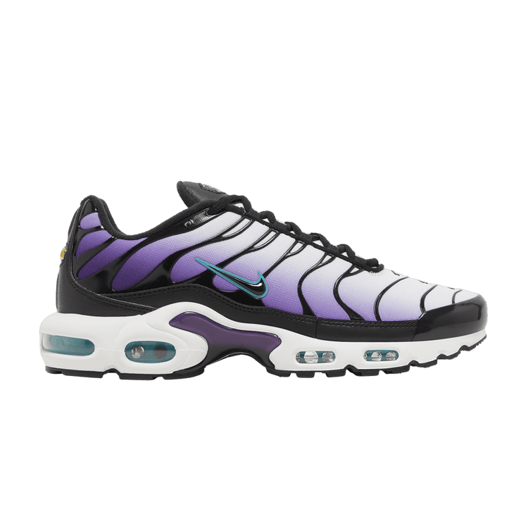 Nike Air Max Plus 'Reverse Grape' FQ2415 500