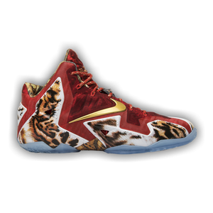 Nike LeBron 11 '2K14'
