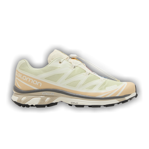 Salomon XT-6 'Aloe Wash Hazelnut'