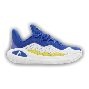 Curry Brand Curry Flow 11 GS 'Dub Nation'