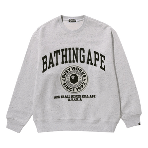 BAPE College Graphic Crewneck 'Grey'