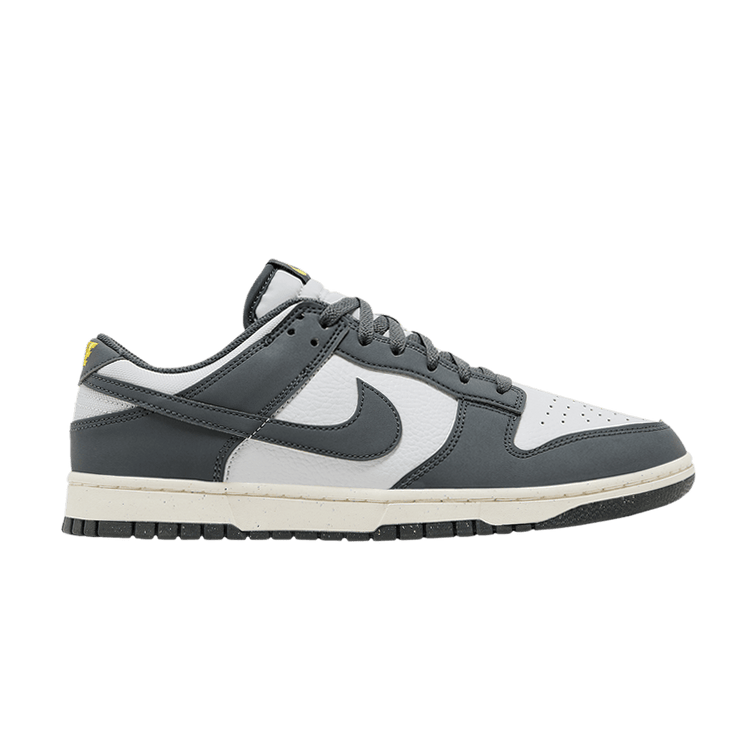 Nike Dunk Low Next Nature 'Iron Grey Lightning' FZ4621 001