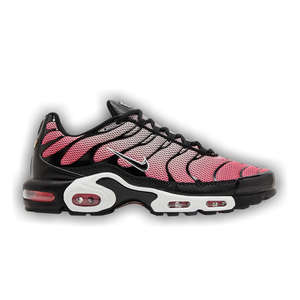 Nike Air Max Plus 'All Day'