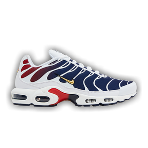 Paris Saint-Germain x Nike Air Max Plus 'Home Kit'