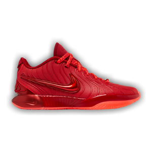 Nike LeBron 21 'James Gang'