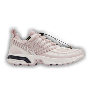Salomon ACS Pro GORE-TEX 'Cloud Grey Lilac Ash'