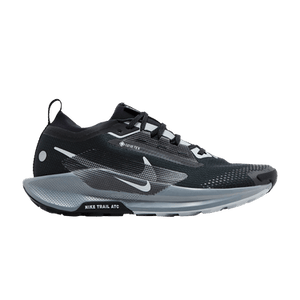 Nike Pegasus Trail 5 GORE-TEX 'Black Wolf Grey'