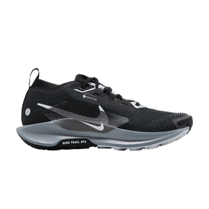 Nike Wmns Pegasus Trail 5 GORE-TEX 'Black Wolf Grey'