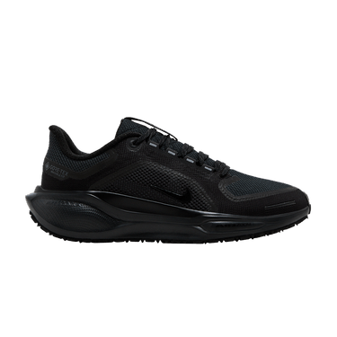 Nike Wmns Air Zoom Pegasus 41 GORE-TEX 'Black Anthracite'