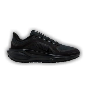Nike Wmns Air Zoom Pegasus 41 GORE-TEX 'Black Anthracite'