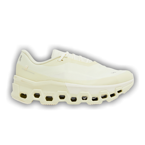 Post Archive Faction x Wmns Cloudmonster 2 'Seeding White'