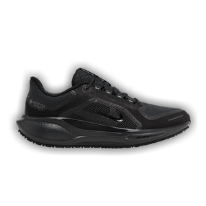 Nike Air Zoom Pegasus 41 GORE-TEX 'Black Anthracite'