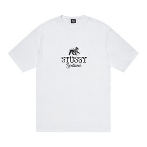 Stussy Sportswear Tee 'White'