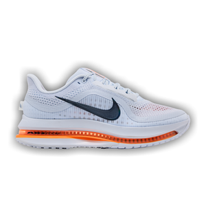 Nike Pegasus Premium 'Airscape'