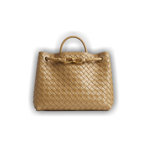 Bottega Veneta Medium Andiamo Bag 'Dark Praline'