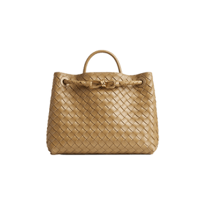 Bottega Veneta Medium Andiamo Bag 'Dark Praline'