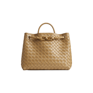 Bottega Veneta Medium Andiamo Bag 'Dark Praline'