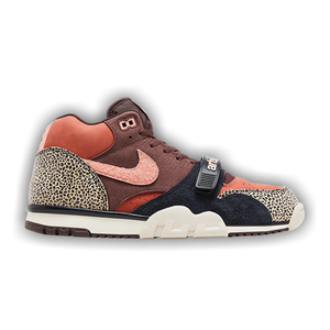 Arts-Rec x Nike Air Trainer 1 SB 'For Recreational Use'