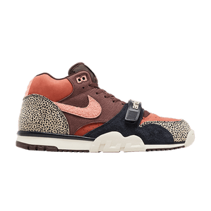Arts-Rec x Nike Air Trainer 1 SB 'For Recreational Use'