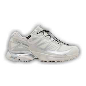 Salomon XT-Pathway GORE-TEX 'Lunar Rock'