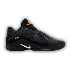 Nike LeBron 22 LX 'Black Label Pack'