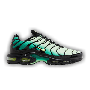 Nike Air Max Plus 'Vapor Green Gradient'