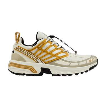 Salomon ACS Pro GORE-TEX 'Icicle Antelope'