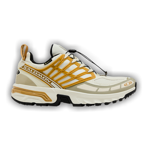 Salomon ACS Pro GORE-TEX 'Icicle Antelope'